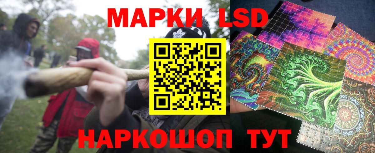 Наркотические марки 1500мкг  Наркотические марки 1500мкг  Марки 25I-NBOMe  Вход с VPN  Сатка 