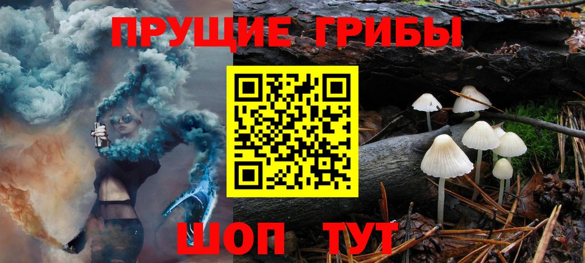 Галлюциногенные грибы Psilocybine cubensis  Вход с VPN  Сатка 