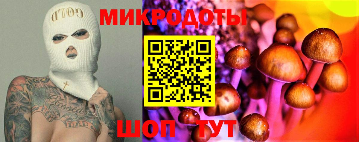 Галлюциногенные грибы Psilocybine cubensis Сатка
